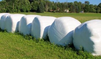 wrapped hay bales-min