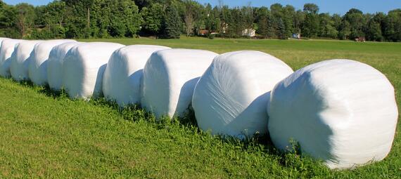 wrapped hay bales-min